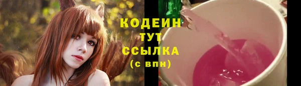 амф Арсеньев