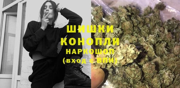 амф Аркадак