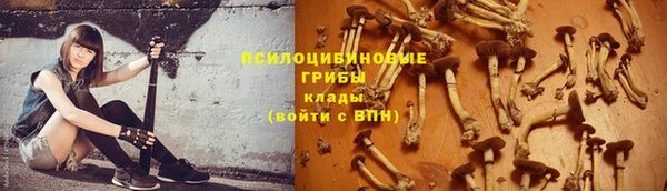 амф Арсеньев