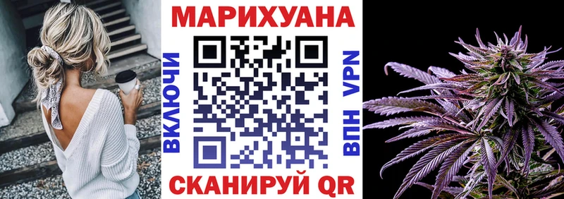 Купить закладки  Углегорск  Бошки марихуана планчик 